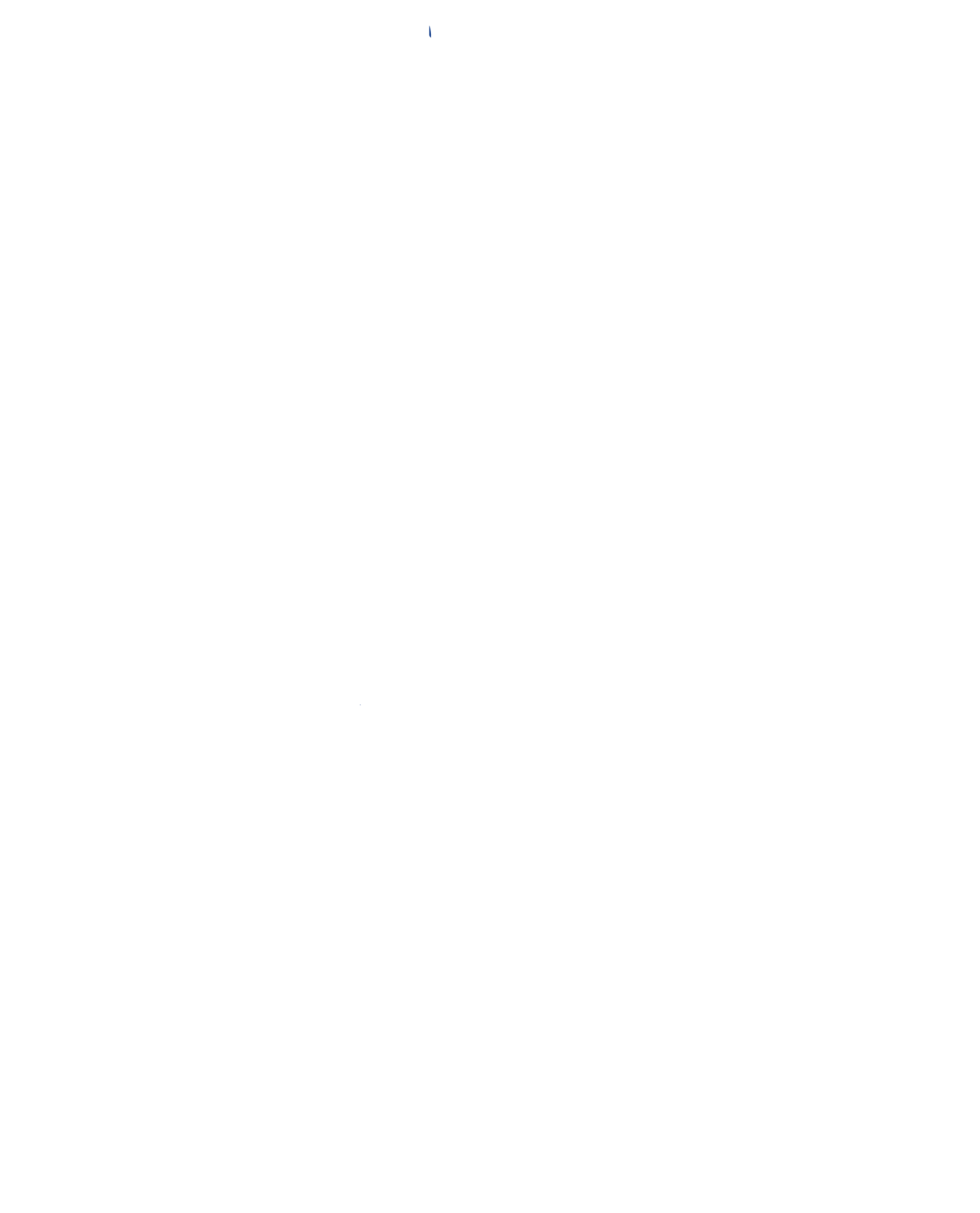 Fundación Juan Lorenzo Lucero